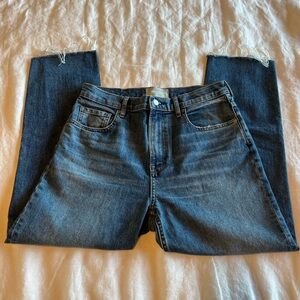 Everlane Cheeky High Rise Jeans
